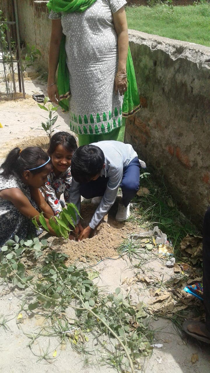 Volunteer mentoring